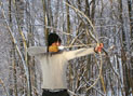 replica Holmegaard bow made from elm, shot by the author 